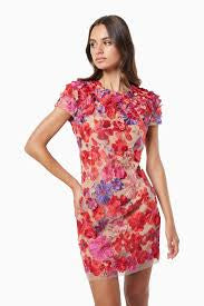 Elliatt- Performance Dress
