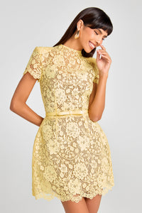Nadine Merabi- Milly Dress