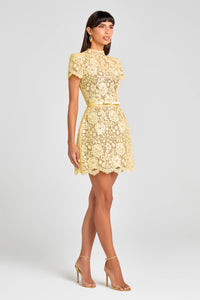 Nadine Merabi- Milly Dress