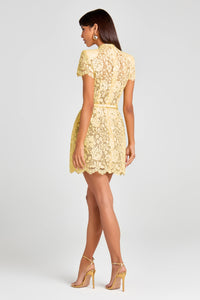 Nadine Merabi- Milly Dress